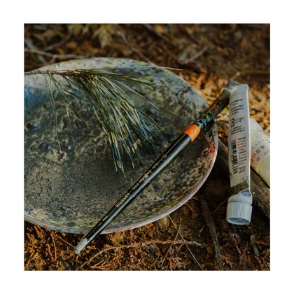 森位敦樹が撮影した「:albumName」の写真