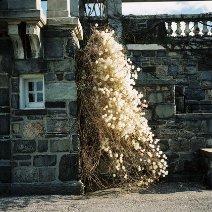 森田寫眞館が撮影した「:albumName」の写真