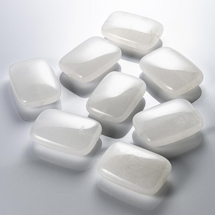 有限会社スタジオホリデーが撮影した「:albumName」の写真