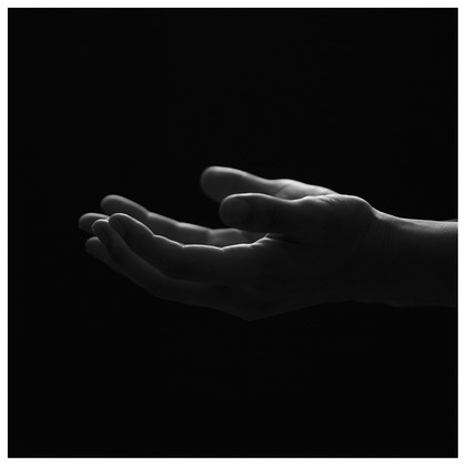 森田寫眞館が撮影した「:albumName」の写真