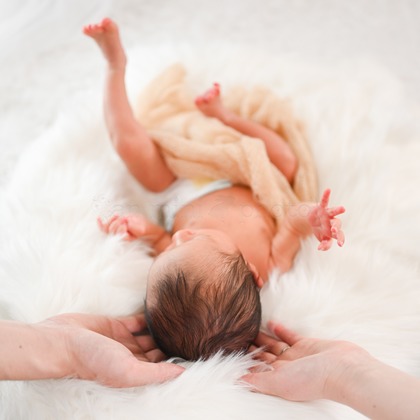 an mini photo家族のための写真館が撮影した「ニューボーンフォト(an mini photo家族のための写真館)」の写真