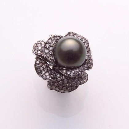 A&K STUDIO CO.,LTD.（上野 晃嗣）が撮影した「:albumName」の写真