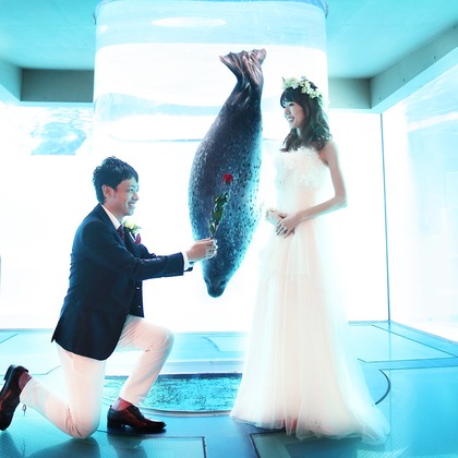 Wedding, Bridal Photos taken by Hiroshi Masuda