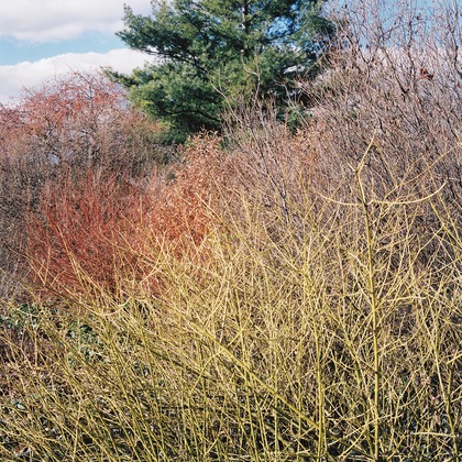 森田寫眞館が撮影した「:albumName」の写真