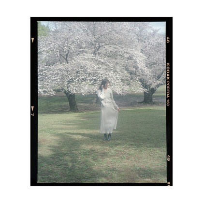 幡原裕治が撮影したその他の写真