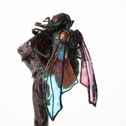 菅野恵太が撮影した「:albumName」の写真