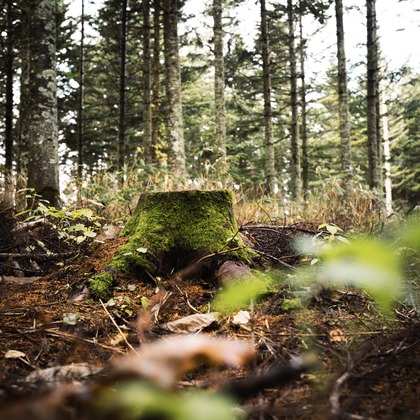山腰　啓介が撮影したイベント/スナップ撮影/不動産/竣工の写真