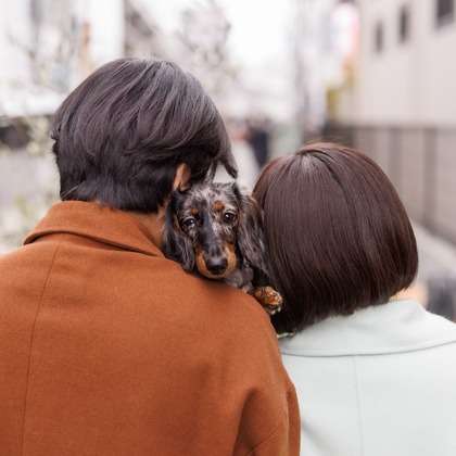 猫田晃広が撮影したその他の写真