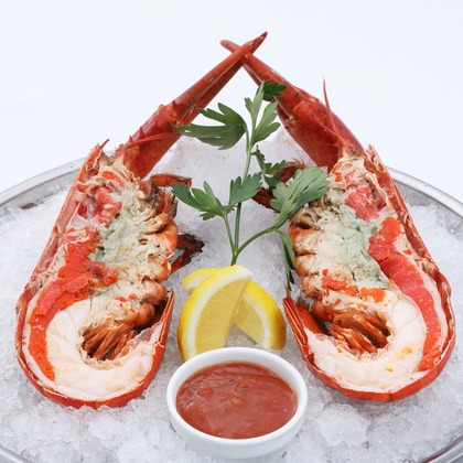 森安　照が撮影した「:albumName」の写真