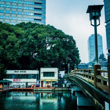 有光こうじ写真事務所が撮影した「:albumName」の写真