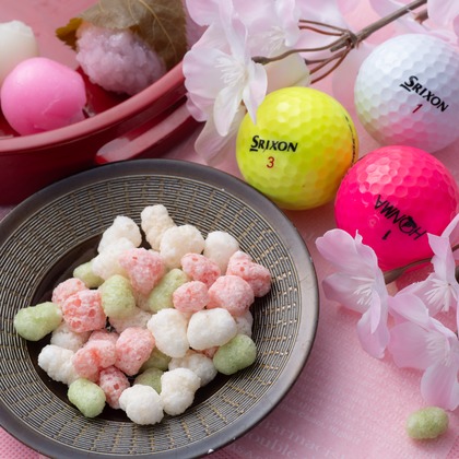 写真屋ごんちゃんが撮影した「:albumName」の写真