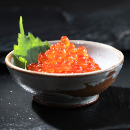 写真事務所ポートフォリオが撮影した「:albumName」の写真