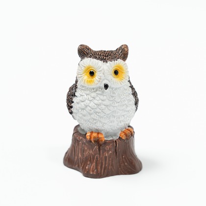 ARUKU PHOTOが撮影した「:albumName」の写真