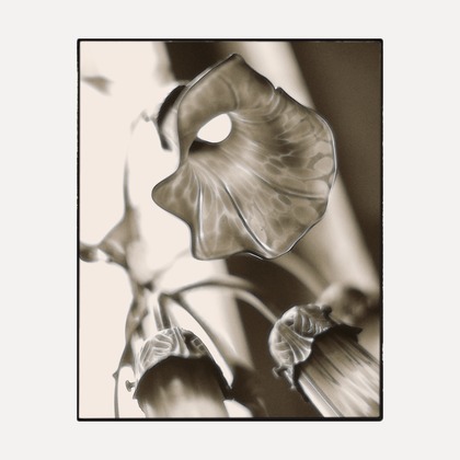 岡村公平が撮影したその他の写真