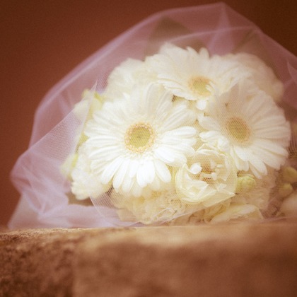 STUDIO NOUVEAU（スタジオ ヌーボ）が撮影したウェディングや家族、ビジネスの写真