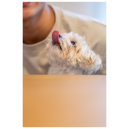 Tagano Photograph 合同会社が撮影したウェディングや家族、ビジネスの写真