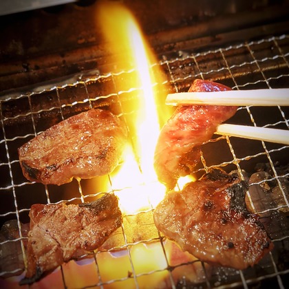 中村雅樹が撮影した「:albumName」の写真