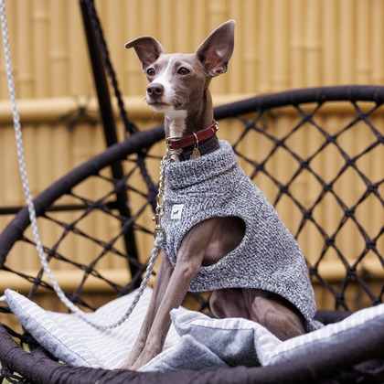 猫田晃広が撮影したその他の写真