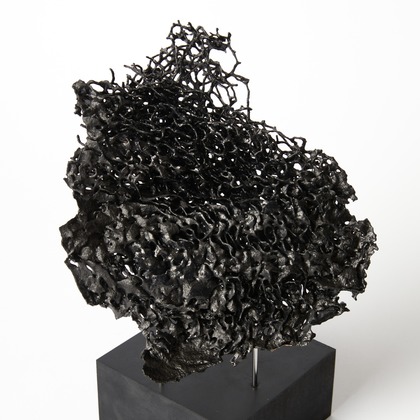 菅野恵太が撮影した「:albumName」の写真