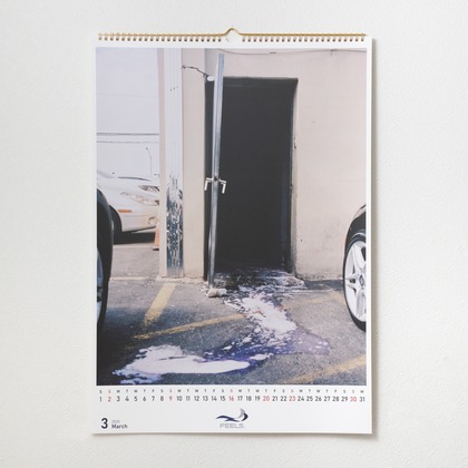 登　万里子が撮影した「:albumName」の写真