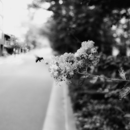 kiharu&photoが撮影した「:albumName」の写真