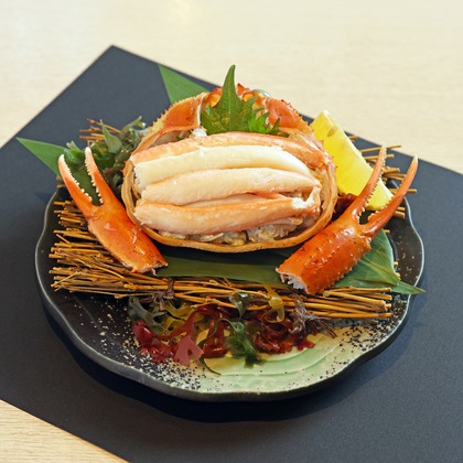 ZOY -photographyer-が撮影した「:albumName」の写真