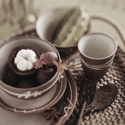 有限会社スタジオホリデーが撮影した「:albumName」の写真