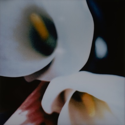 岡村公平が撮影した商品/物撮りの写真