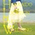 Hokkaido Location Photo Wedding♪