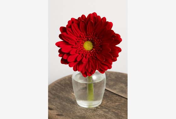 Nakamura Photo Works