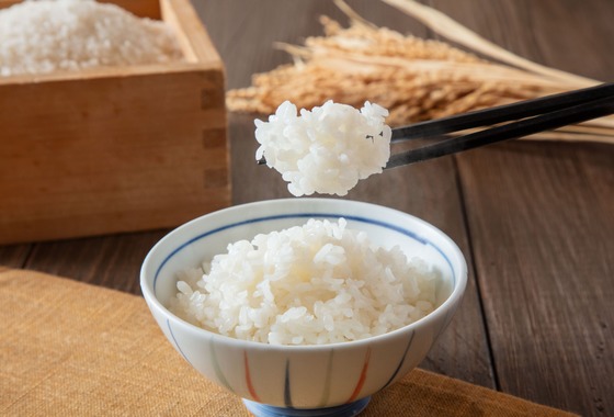 富田桃子写真事務所