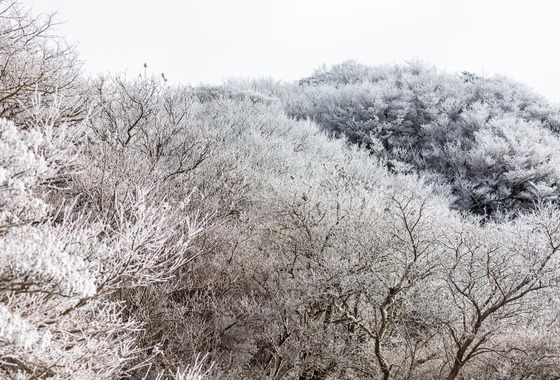 PhotoBaseありよし