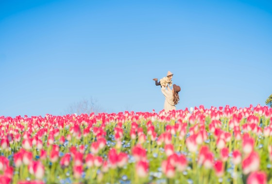 ベッティフォト