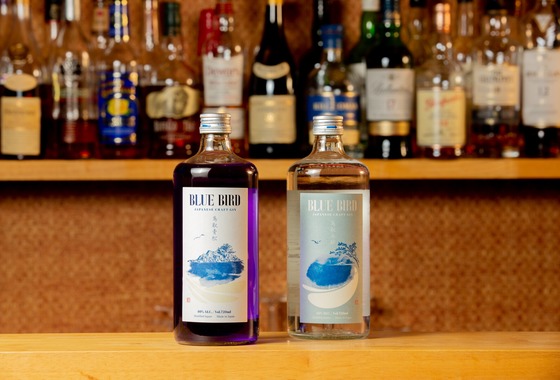 山﨑　貴仁　(zakkii)