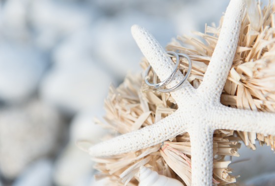 BUGZ WORKS PHOTOGRAPHY