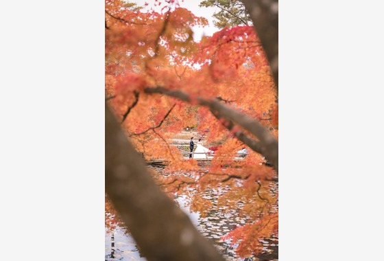 にしむら　けいすけ