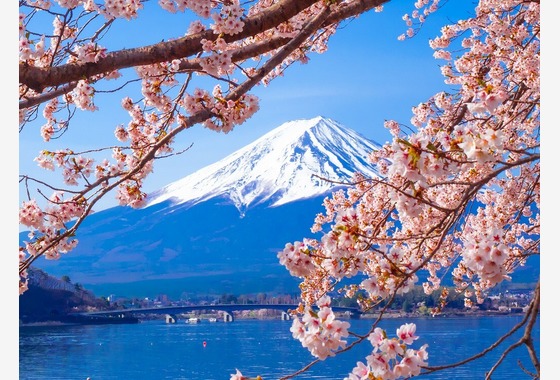 レオン・スナップサービス