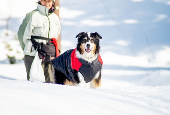 スマイルチューン