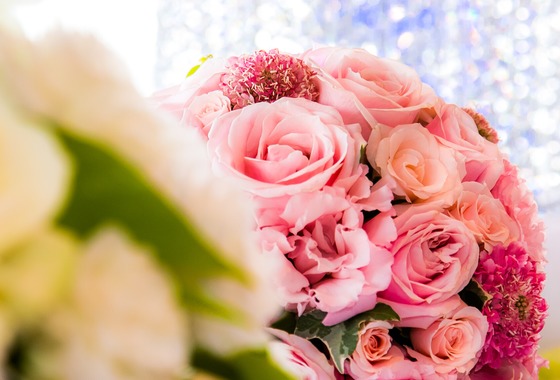 VOICE PHOTOGRAPH OFFICE // ボイス・フォト