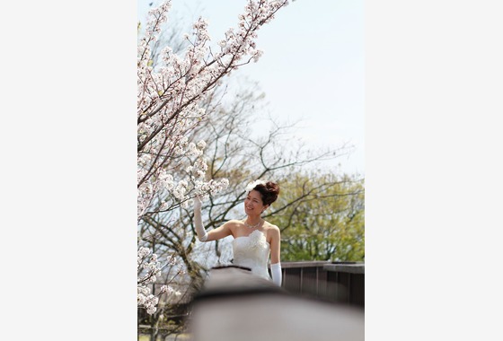 セリエドレッシング