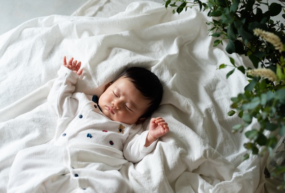 エムフォトオフィス