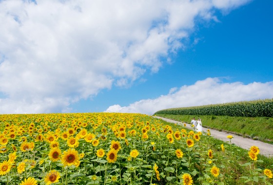株式会社フォトシーズン