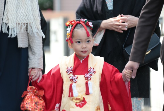 出張写真撮影　花情和楽