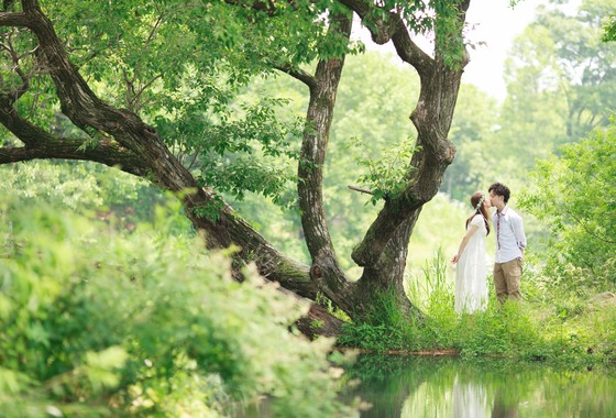 Hide Fotografie (三上 英和)