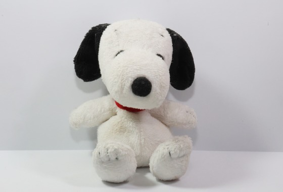 ＮＫ フォトエージェンシー