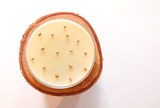 Casa TaKa il photograph