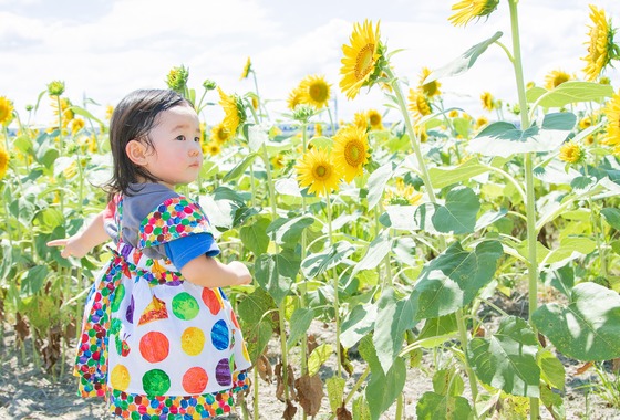 アトリエグラフィア