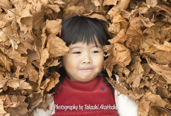 赤星たかし写真事務所