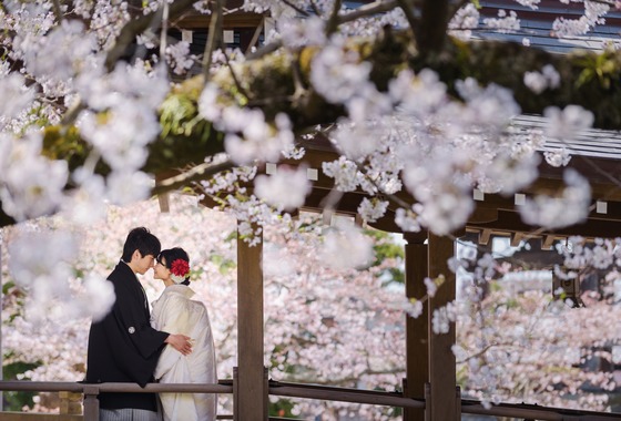 縁鎌倉ウェディング