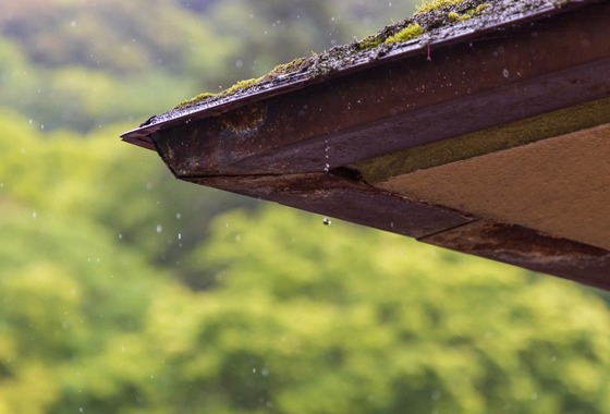 フォトオフィス　ルミエ